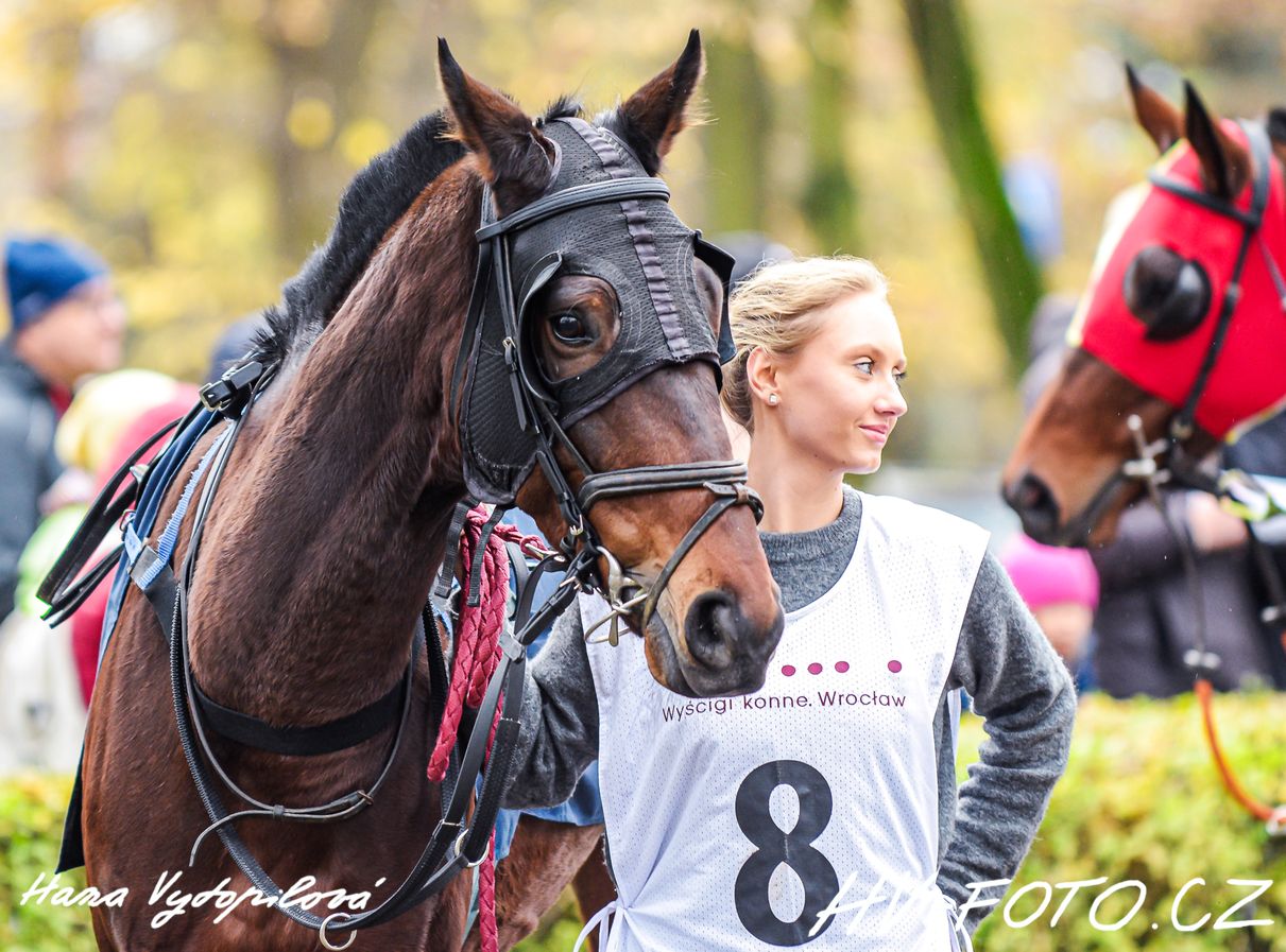 DSC_5986 kopie.jpg